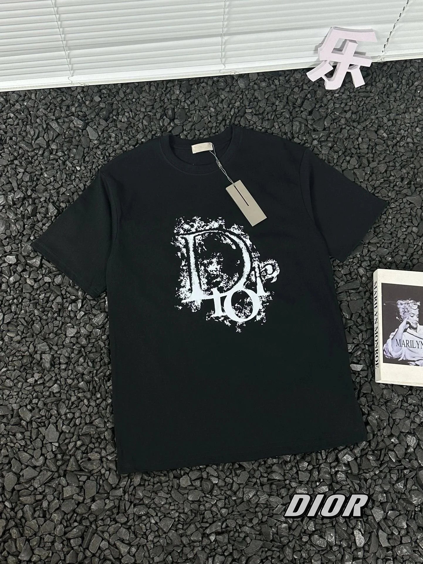 Dior Oblique Graphic Cotton T-Shirt Black