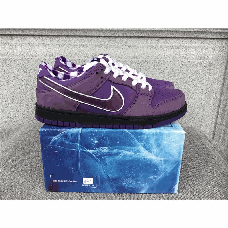 Nike SB Dunk Low Pro Purple Lobster Chunky Sneakers Purple
