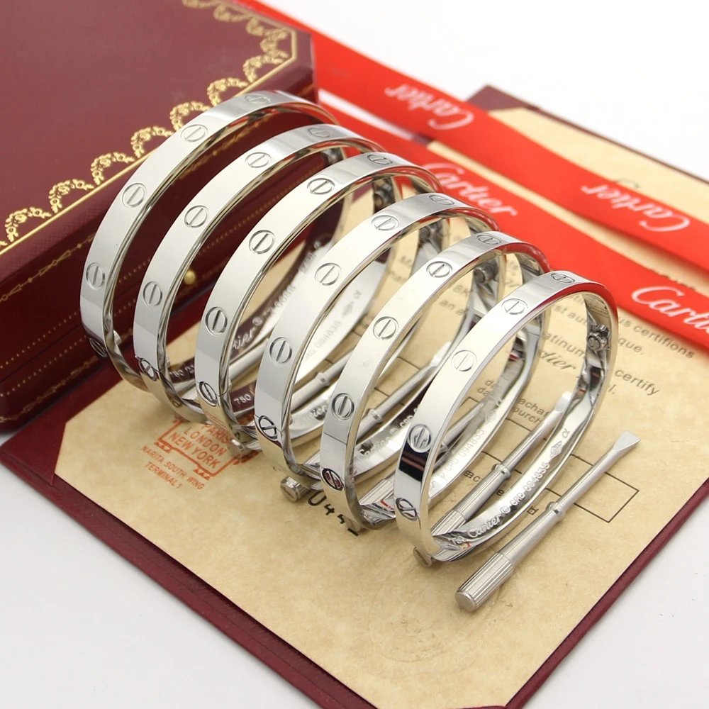 Cartier Love Bracelet Classic Silver Jewelry Silver