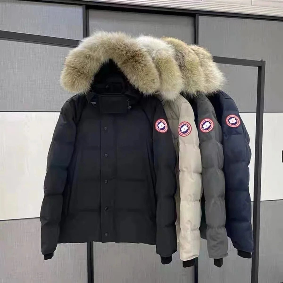 Canada Goose Wyndham Parka Fur Hooded Down Jacket Multicolor