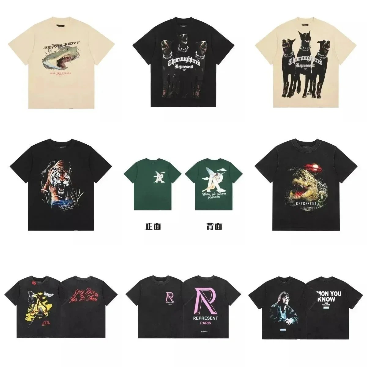 Represent Graphic Tee Collection Oversized Cotton T-Shirt Multicolor