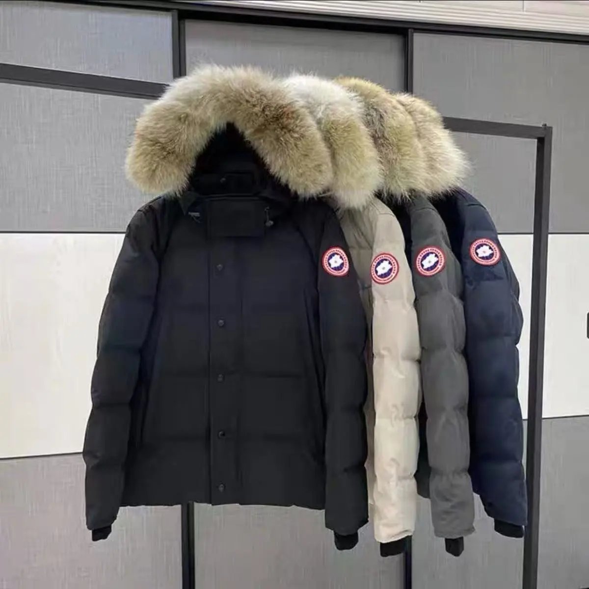 Canada Goose Wyndham Parka Fur Hooded Down Jacket Multicolor